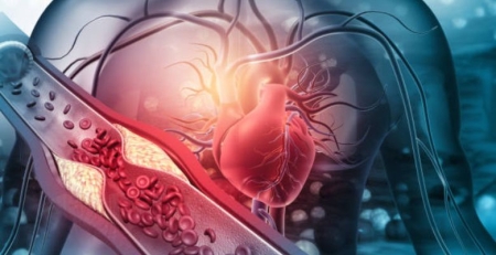 74 % dos portugueses desconhecem impacto do colesterol na saúde
