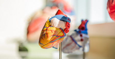CHUC implantou o primeiro &quot;coração artificial&quot; para tratar insuficiência cardíaca terminal