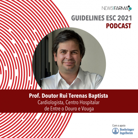 Guidelines | Prof. Doutor Rui Terenas Baptista - Episódio 1