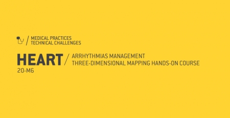 Marque na agenda: Heart / arrhythmias management tridimensional mapping hands-on course